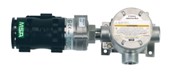 Fixed Gas Detection Systems
